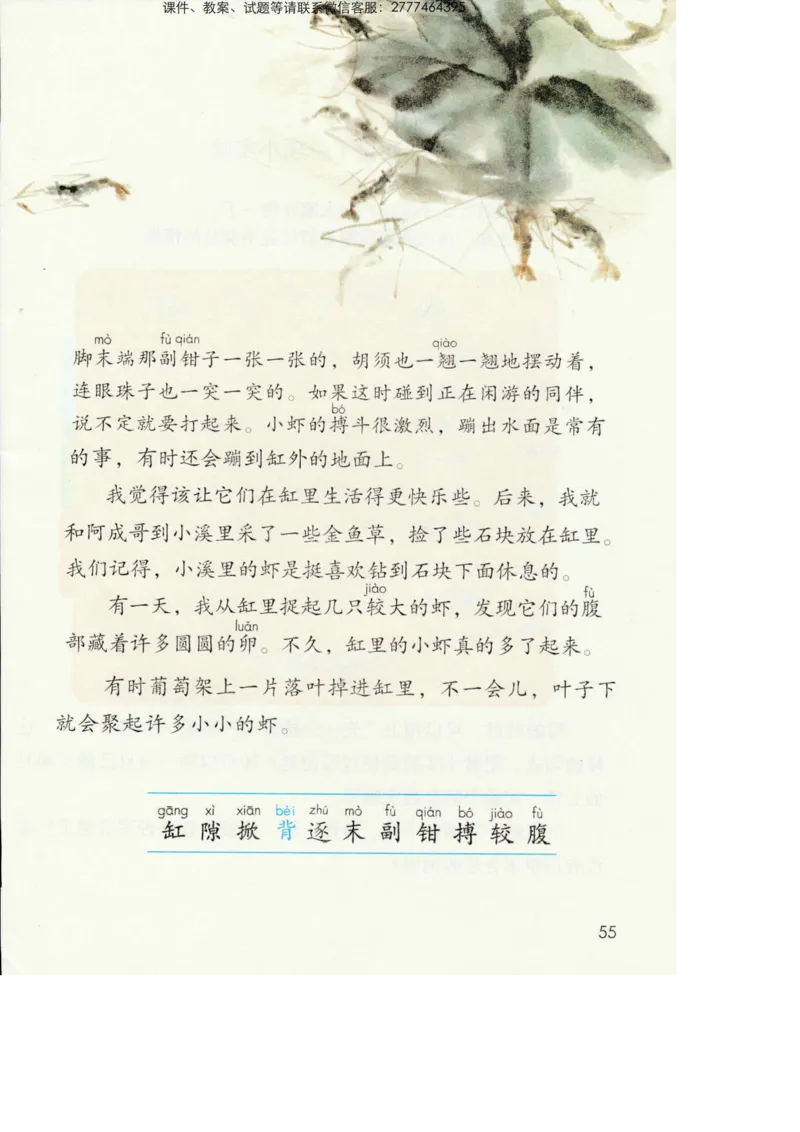 部编版语文3年级下册电子课本(1)_教资初高中_教资面试2025教资面试备考资料合集_教资面试资料合集_2025教资面试资料_25上教资面试-小学资料包_20教材：全册_小学_小学语文