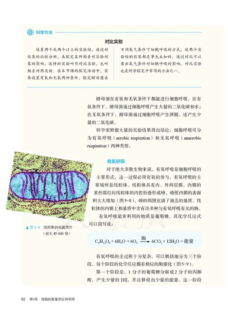 高中必修一生物_教资初高中_教资面试2025教资面试备考资料合集_教资面试资料合集_3、教资面试资料包大全_45大圣中小幼面试资料包_高中_生物_高中生物电子课本
