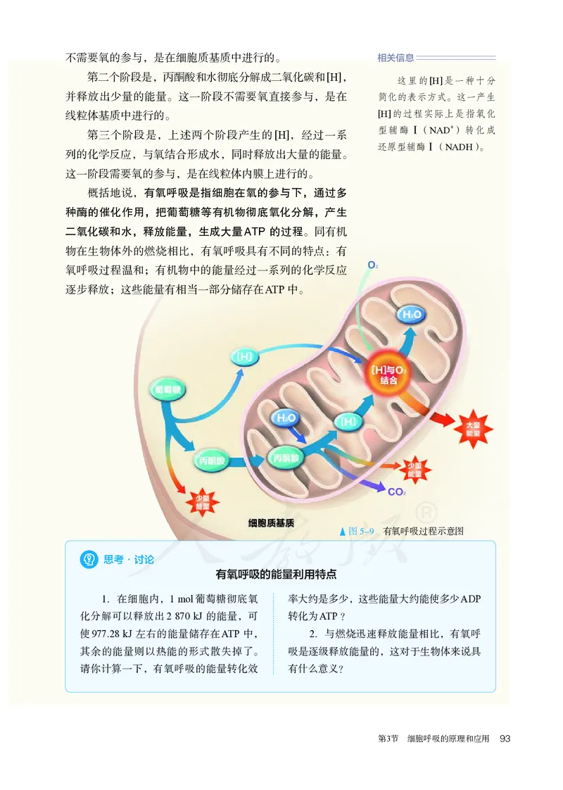 高中必修一生物_教资初高中_教资面试2025教资面试备考资料合集_教资面试资料合集_3、教资面试资料包大全_45大圣中小幼面试资料包_高中_生物_高中生物电子课本