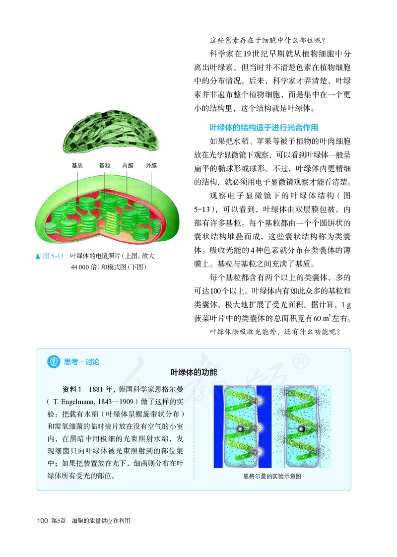 高中必修一生物_教资初高中_教资面试2025教资面试备考资料合集_教资面试资料合集_3、教资面试资料包大全_45大圣中小幼面试资料包_高中_生物_高中生物电子课本