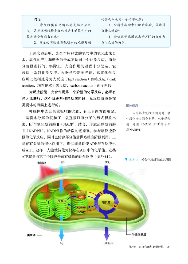 高中必修一生物_教资初高中_教资面试2025教资面试备考资料合集_教资面试资料合集_3、教资面试资料包大全_45大圣中小幼面试资料包_高中_生物_高中生物电子课本