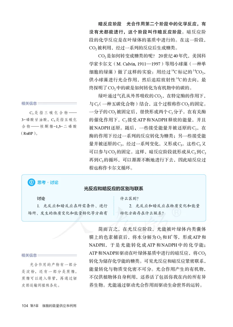 高中必修一生物_教资初高中_教资面试2025教资面试备考资料合集_教资面试资料合集_3、教资面试资料包大全_45大圣中小幼面试资料包_高中_生物_高中生物电子课本