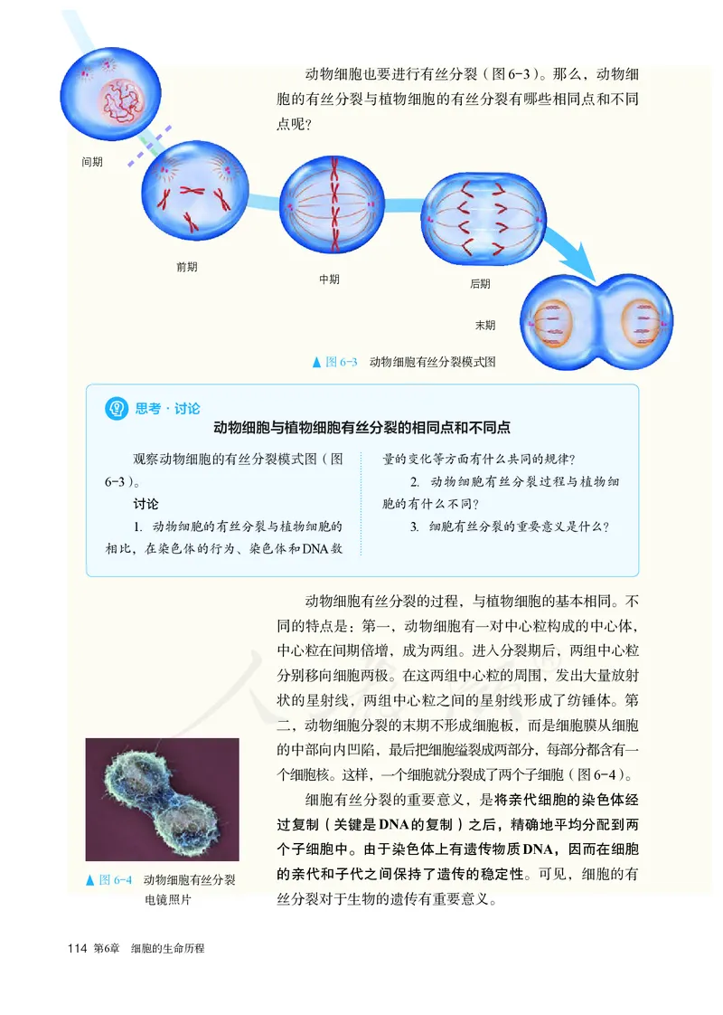 高中必修一生物_教资初高中_教资面试2025教资面试备考资料合集_教资面试资料合集_3、教资面试资料包大全_45大圣中小幼面试资料包_高中_生物_高中生物电子课本