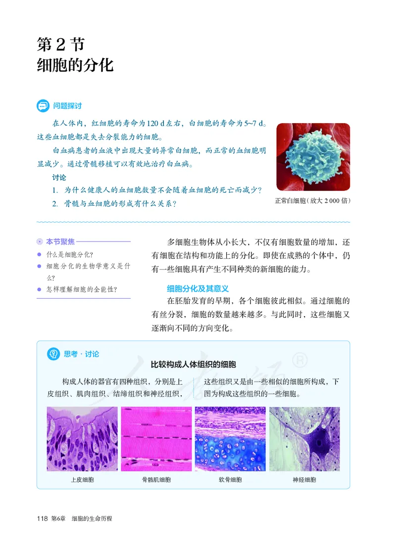 高中必修一生物_教资初高中_教资面试2025教资面试备考资料合集_教资面试资料合集_3、教资面试资料包大全_45大圣中小幼面试资料包_高中_生物_高中生物电子课本