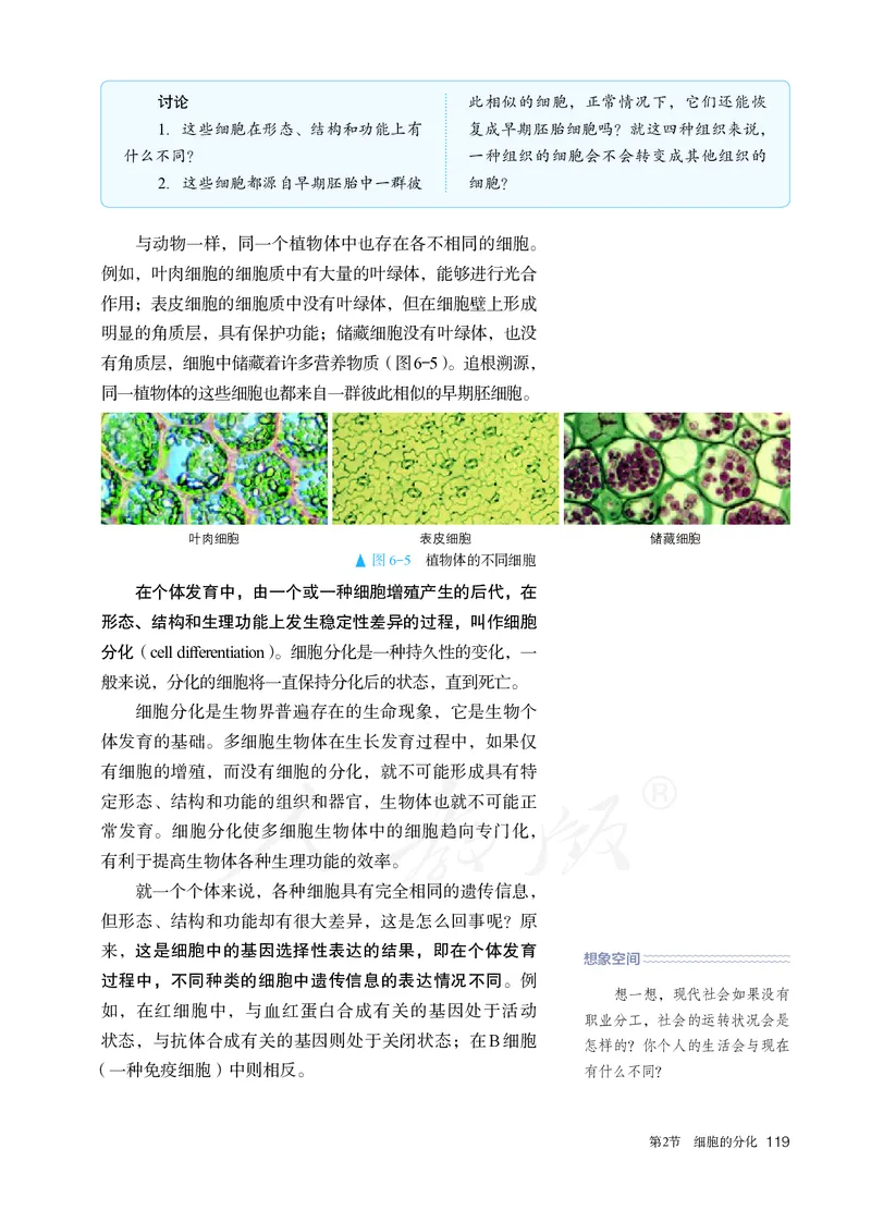 高中必修一生物_教资初高中_教资面试2025教资面试备考资料合集_教资面试资料合集_3、教资面试资料包大全_45大圣中小幼面试资料包_高中_生物_高中生物电子课本