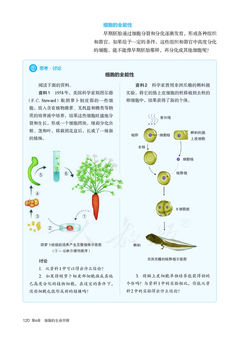 高中必修一生物_教资初高中_教资面试2025教资面试备考资料合集_教资面试资料合集_3、教资面试资料包大全_45大圣中小幼面试资料包_高中_生物_高中生物电子课本