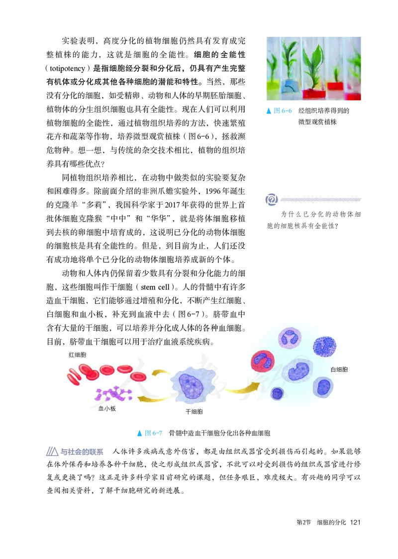 高中必修一生物_教资初高中_教资面试2025教资面试备考资料合集_教资面试资料合集_3、教资面试资料包大全_45大圣中小幼面试资料包_高中_生物_高中生物电子课本