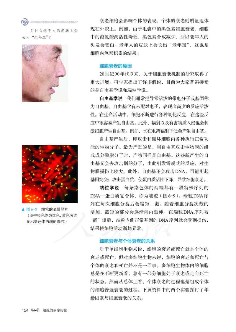 高中必修一生物_教资初高中_教资面试2025教资面试备考资料合集_教资面试资料合集_3、教资面试资料包大全_45大圣中小幼面试资料包_高中_生物_高中生物电子课本