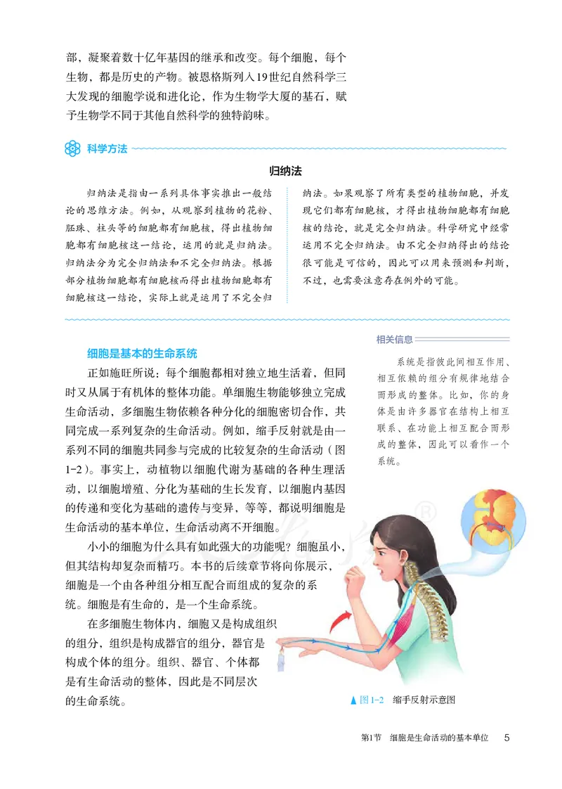 高中必修一生物_教资初高中_教资面试2025教资面试备考资料合集_教资面试资料合集_3、教资面试资料包大全_45大圣中小幼面试资料包_高中_生物_高中生物电子课本