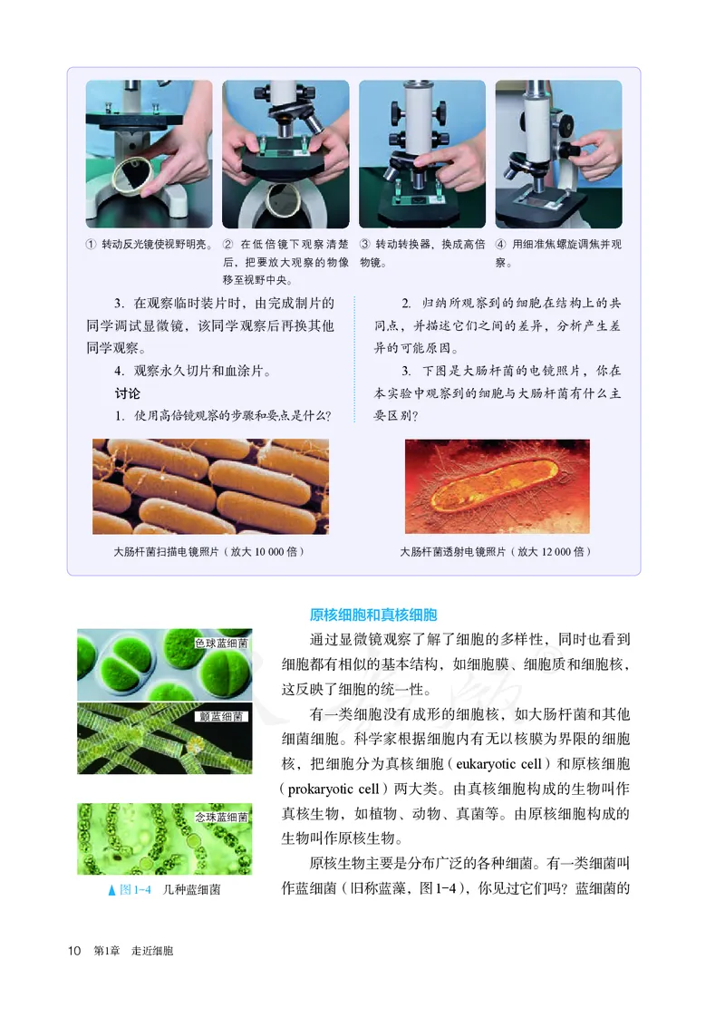 高中必修一生物_教资初高中_教资面试2025教资面试备考资料合集_教资面试资料合集_3、教资面试资料包大全_45大圣中小幼面试资料包_高中_生物_高中生物电子课本