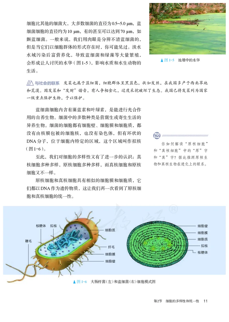 高中必修一生物_教资初高中_教资面试2025教资面试备考资料合集_教资面试资料合集_3、教资面试资料包大全_45大圣中小幼面试资料包_高中_生物_高中生物电子课本