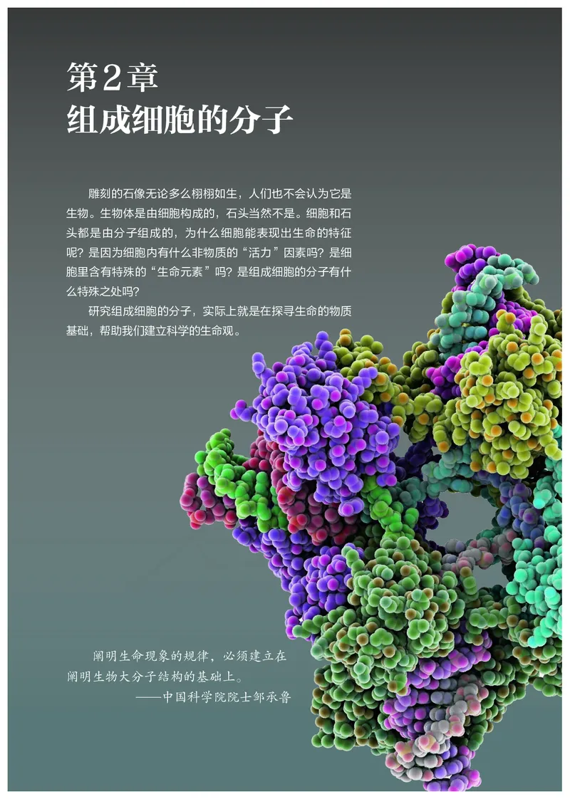 高中必修一生物_教资初高中_教资面试2025教资面试备考资料合集_教资面试资料合集_3、教资面试资料包大全_45大圣中小幼面试资料包_高中_生物_高中生物电子课本