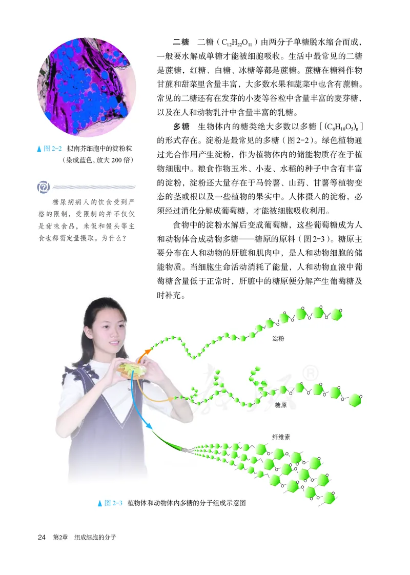 高中必修一生物_教资初高中_教资面试2025教资面试备考资料合集_教资面试资料合集_3、教资面试资料包大全_45大圣中小幼面试资料包_高中_生物_高中生物电子课本