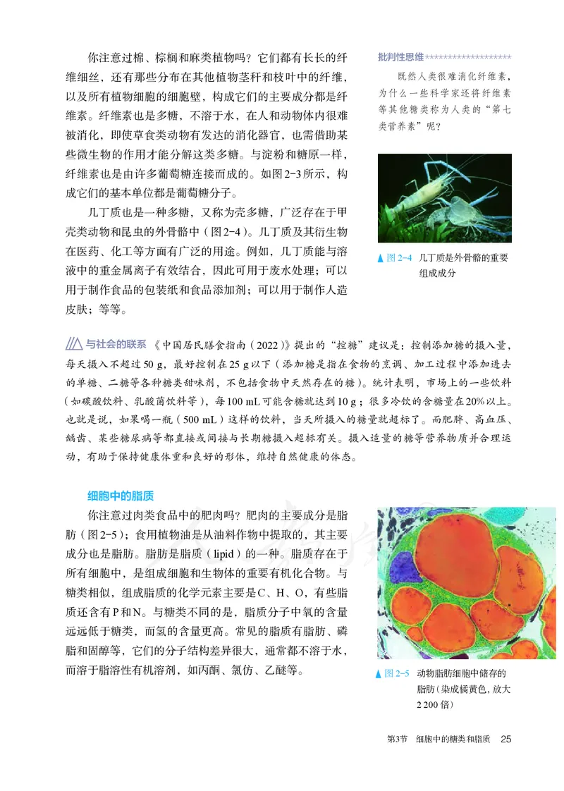 高中必修一生物_教资初高中_教资面试2025教资面试备考资料合集_教资面试资料合集_3、教资面试资料包大全_45大圣中小幼面试资料包_高中_生物_高中生物电子课本