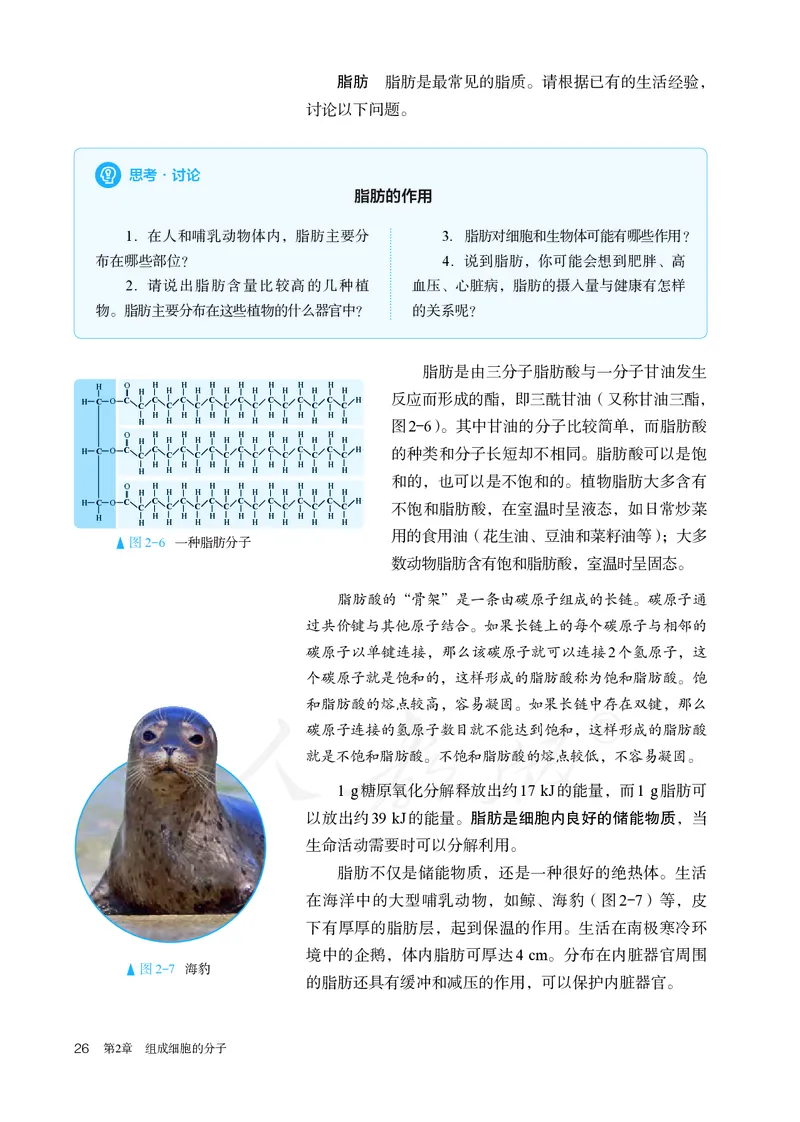 高中必修一生物_教资初高中_教资面试2025教资面试备考资料合集_教资面试资料合集_3、教资面试资料包大全_45大圣中小幼面试资料包_高中_生物_高中生物电子课本