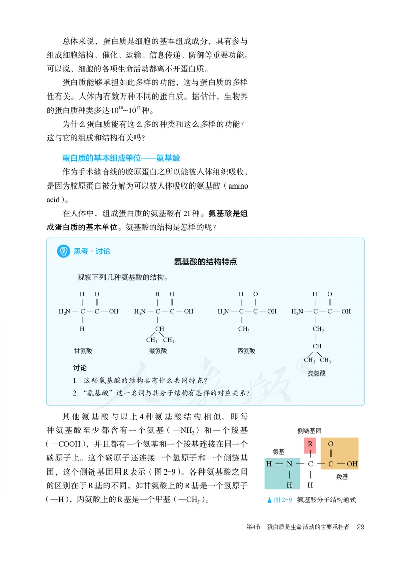 高中必修一生物_教资初高中_教资面试2025教资面试备考资料合集_教资面试资料合集_3、教资面试资料包大全_45大圣中小幼面试资料包_高中_生物_高中生物电子课本