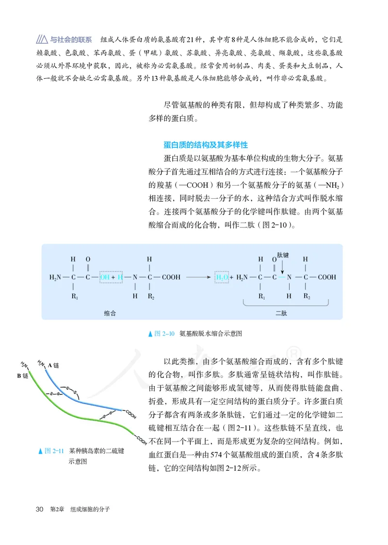 高中必修一生物_教资初高中_教资面试2025教资面试备考资料合集_教资面试资料合集_3、教资面试资料包大全_45大圣中小幼面试资料包_高中_生物_高中生物电子课本
