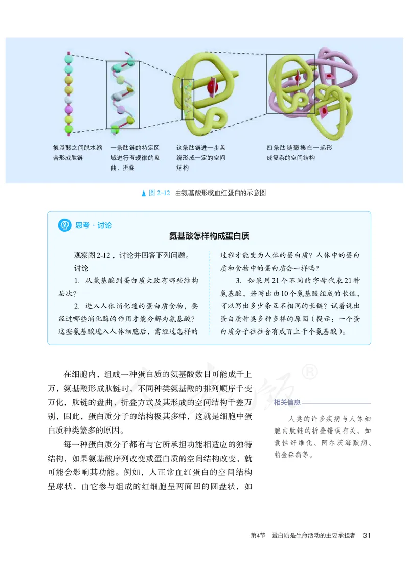 高中必修一生物_教资初高中_教资面试2025教资面试备考资料合集_教资面试资料合集_3、教资面试资料包大全_45大圣中小幼面试资料包_高中_生物_高中生物电子课本