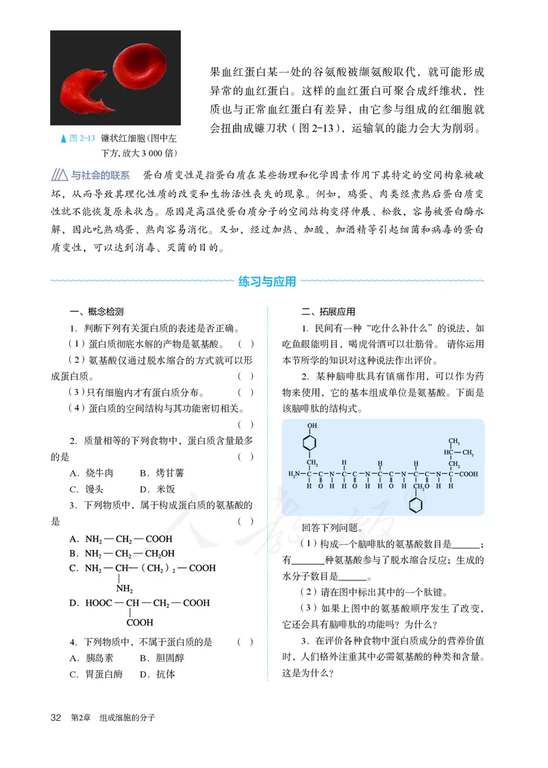 高中必修一生物_教资初高中_教资面试2025教资面试备考资料合集_教资面试资料合集_3、教资面试资料包大全_45大圣中小幼面试资料包_高中_生物_高中生物电子课本