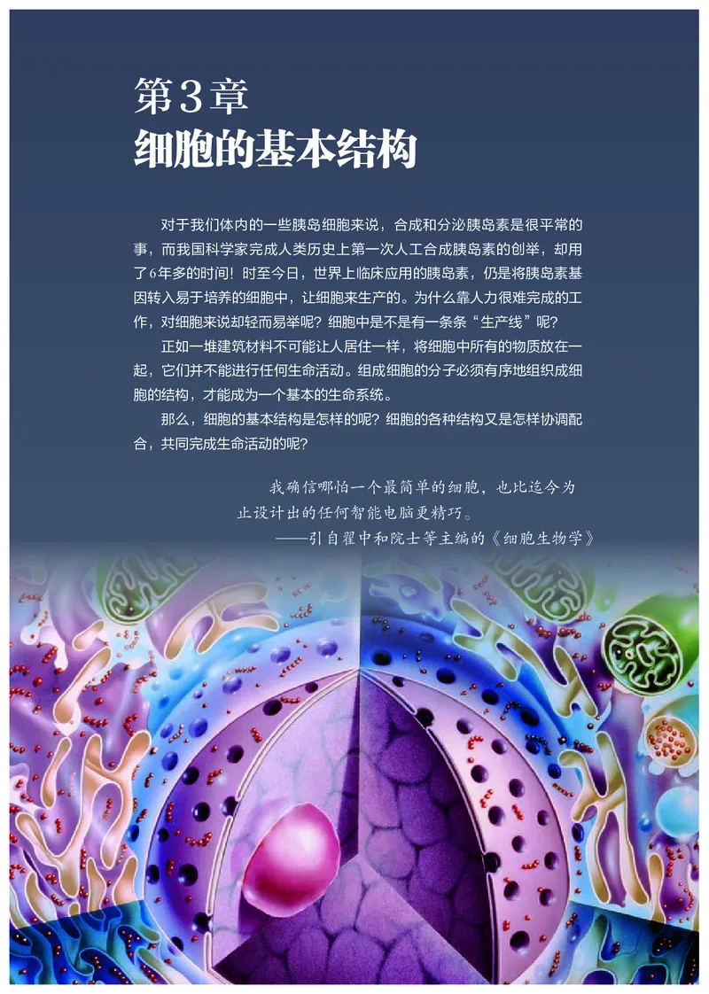 高中必修一生物_教资初高中_教资面试2025教资面试备考资料合集_教资面试资料合集_3、教资面试资料包大全_45大圣中小幼面试资料包_高中_生物_高中生物电子课本