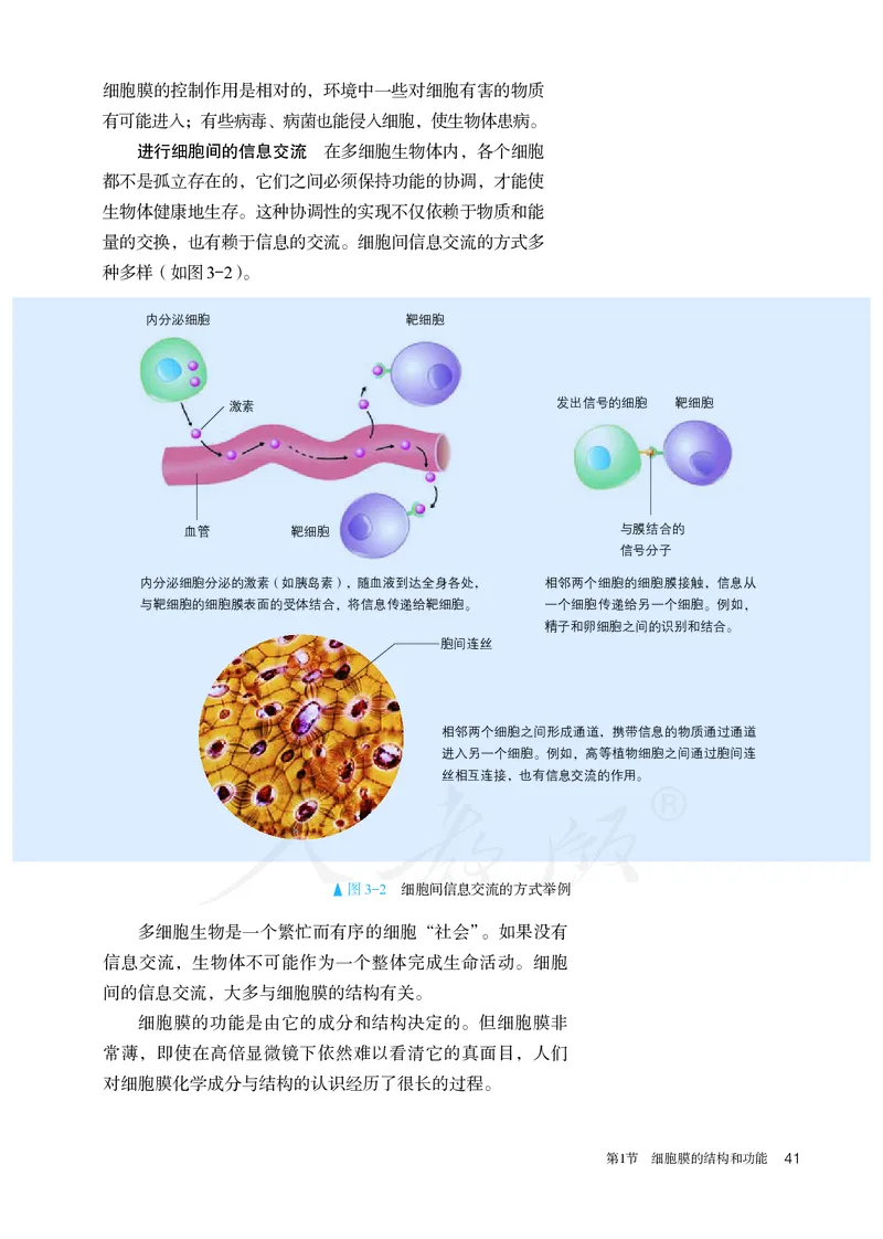 高中必修一生物_教资初高中_教资面试2025教资面试备考资料合集_教资面试资料合集_3、教资面试资料包大全_45大圣中小幼面试资料包_高中_生物_高中生物电子课本