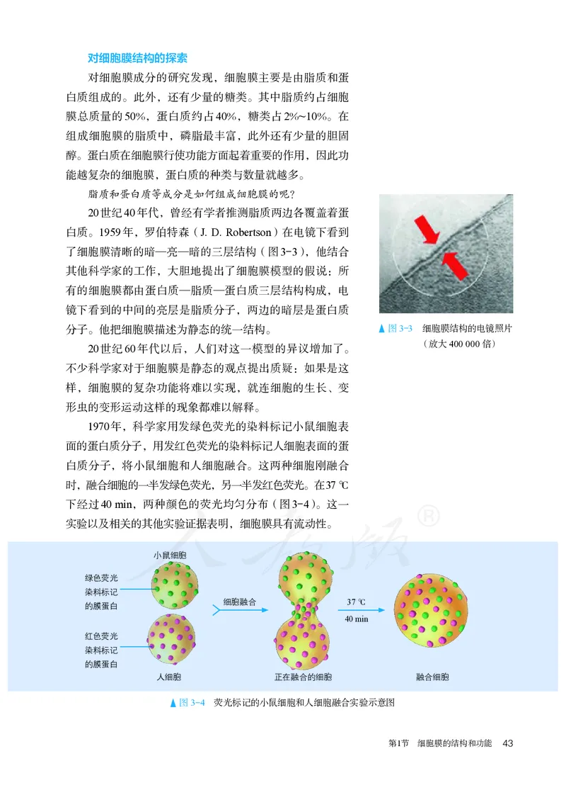 高中必修一生物_教资初高中_教资面试2025教资面试备考资料合集_教资面试资料合集_3、教资面试资料包大全_45大圣中小幼面试资料包_高中_生物_高中生物电子课本