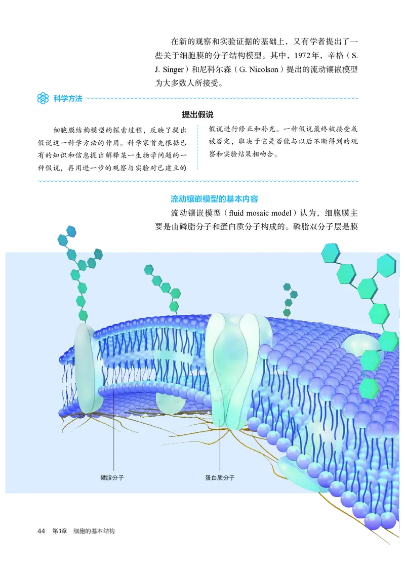 高中必修一生物_教资初高中_教资面试2025教资面试备考资料合集_教资面试资料合集_3、教资面试资料包大全_45大圣中小幼面试资料包_高中_生物_高中生物电子课本