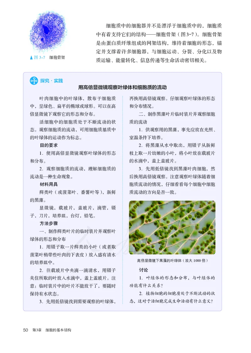 高中必修一生物_教资初高中_教资面试2025教资面试备考资料合集_教资面试资料合集_3、教资面试资料包大全_45大圣中小幼面试资料包_高中_生物_高中生物电子课本