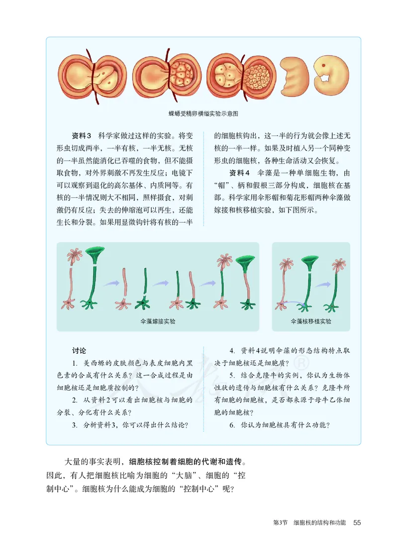 高中必修一生物_教资初高中_教资面试2025教资面试备考资料合集_教资面试资料合集_3、教资面试资料包大全_45大圣中小幼面试资料包_高中_生物_高中生物电子课本