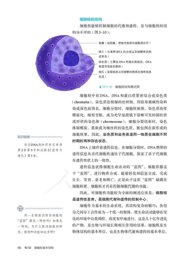 高中必修一生物_教资初高中_教资面试2025教资面试备考资料合集_教资面试资料合集_3、教资面试资料包大全_45大圣中小幼面试资料包_高中_生物_高中生物电子课本