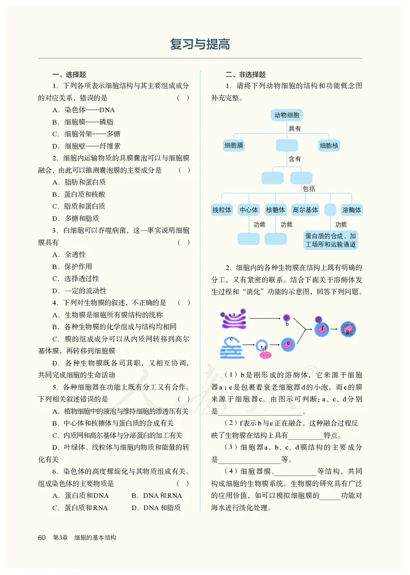高中必修一生物_教资初高中_教资面试2025教资面试备考资料合集_教资面试资料合集_3、教资面试资料包大全_45大圣中小幼面试资料包_高中_生物_高中生物电子课本