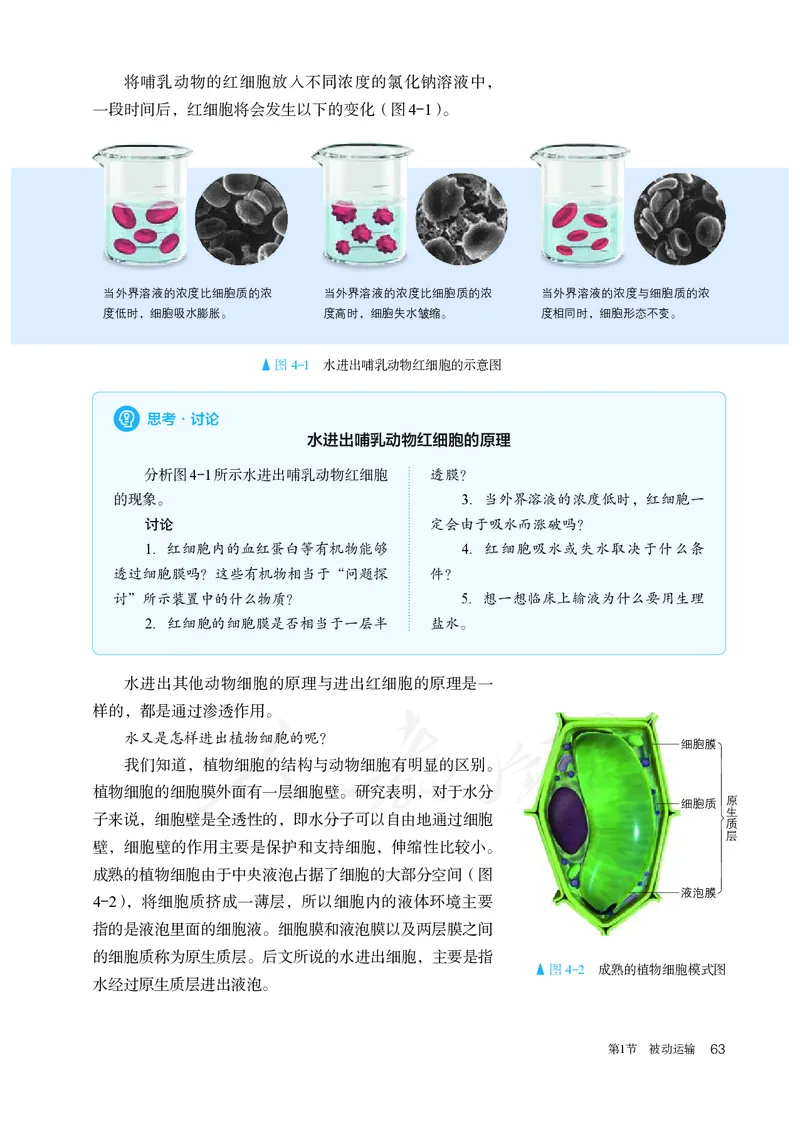 高中必修一生物_教资初高中_教资面试2025教资面试备考资料合集_教资面试资料合集_3、教资面试资料包大全_45大圣中小幼面试资料包_高中_生物_高中生物电子课本