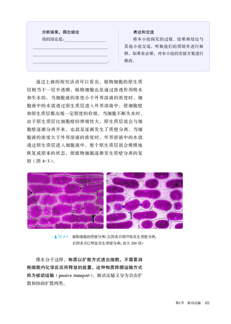 高中必修一生物_教资初高中_教资面试2025教资面试备考资料合集_教资面试资料合集_3、教资面试资料包大全_45大圣中小幼面试资料包_高中_生物_高中生物电子课本
