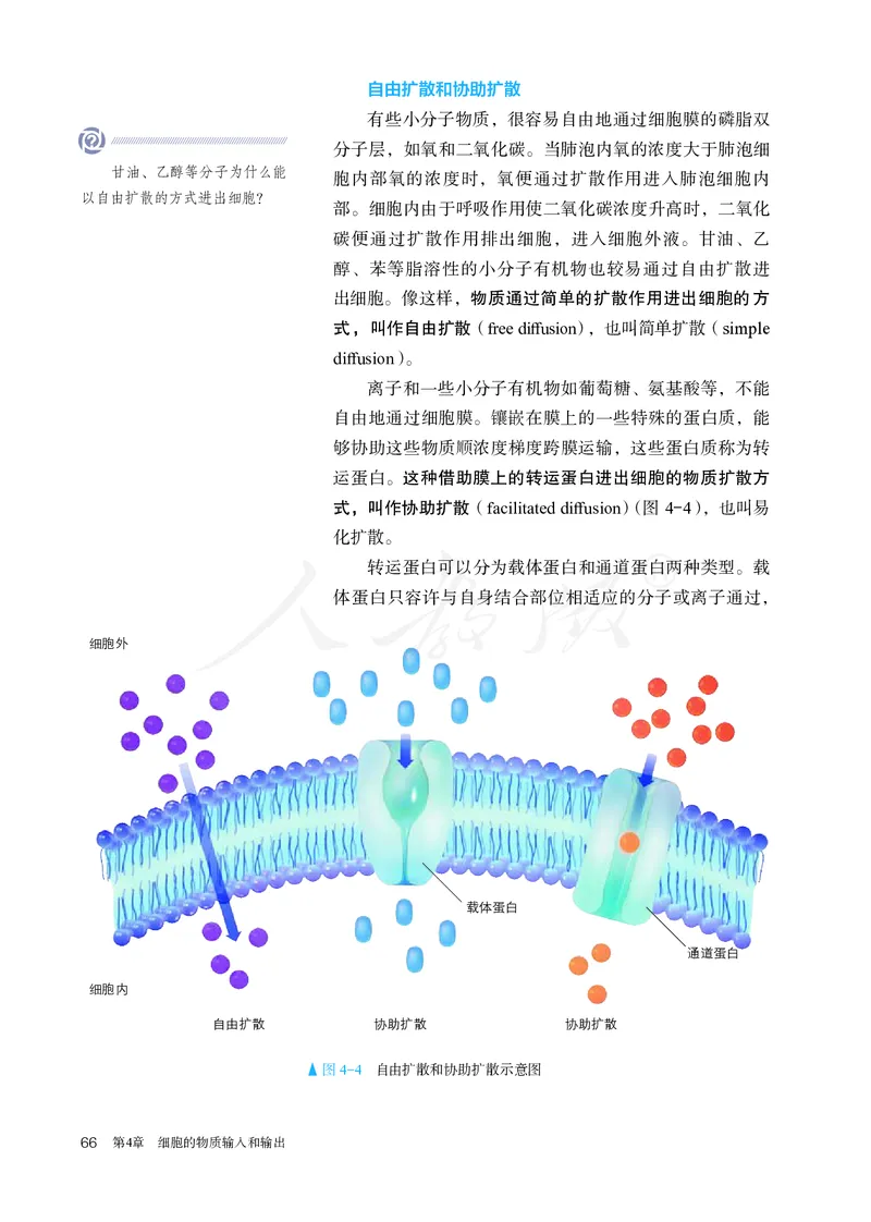 高中必修一生物_教资初高中_教资面试2025教资面试备考资料合集_教资面试资料合集_3、教资面试资料包大全_45大圣中小幼面试资料包_高中_生物_高中生物电子课本