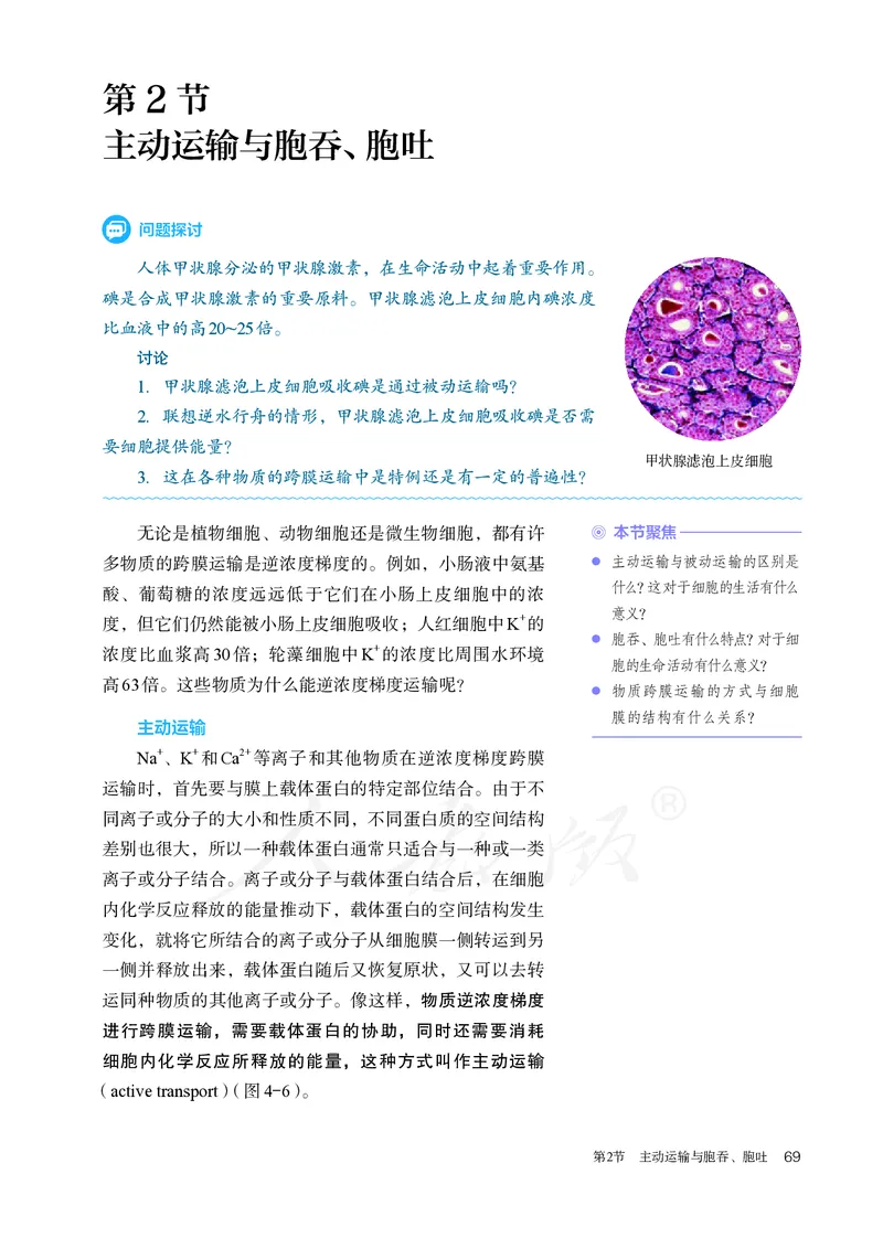 高中必修一生物_教资初高中_教资面试2025教资面试备考资料合集_教资面试资料合集_3、教资面试资料包大全_45大圣中小幼面试资料包_高中_生物_高中生物电子课本