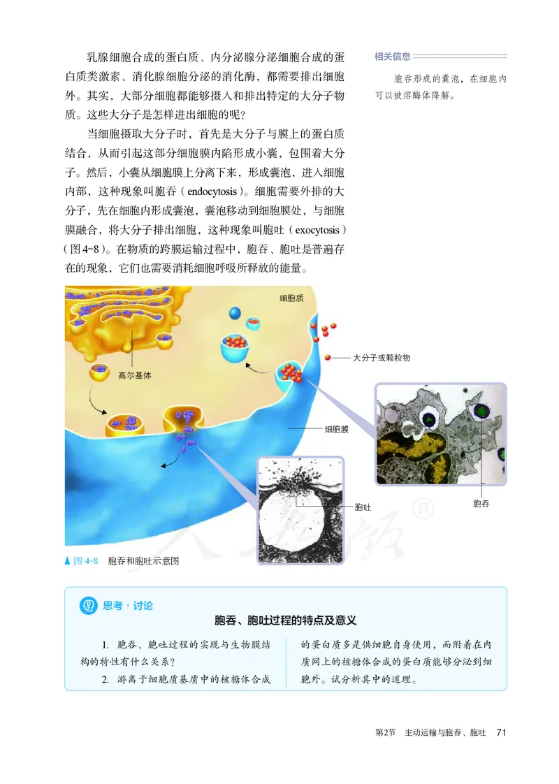 高中必修一生物_教资初高中_教资面试2025教资面试备考资料合集_教资面试资料合集_3、教资面试资料包大全_45大圣中小幼面试资料包_高中_生物_高中生物电子课本