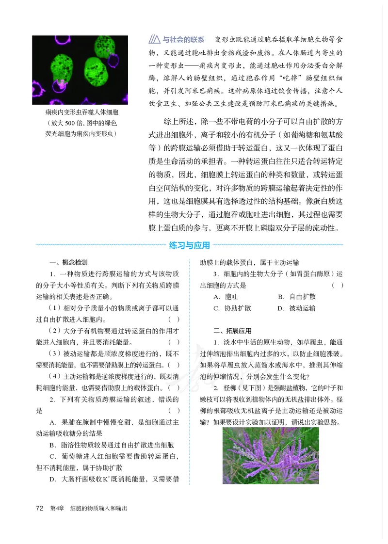 高中必修一生物_教资初高中_教资面试2025教资面试备考资料合集_教资面试资料合集_3、教资面试资料包大全_45大圣中小幼面试资料包_高中_生物_高中生物电子课本
