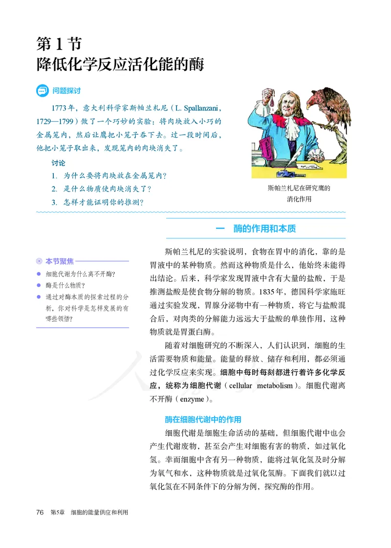 高中必修一生物_教资初高中_教资面试2025教资面试备考资料合集_教资面试资料合集_3、教资面试资料包大全_45大圣中小幼面试资料包_高中_生物_高中生物电子课本