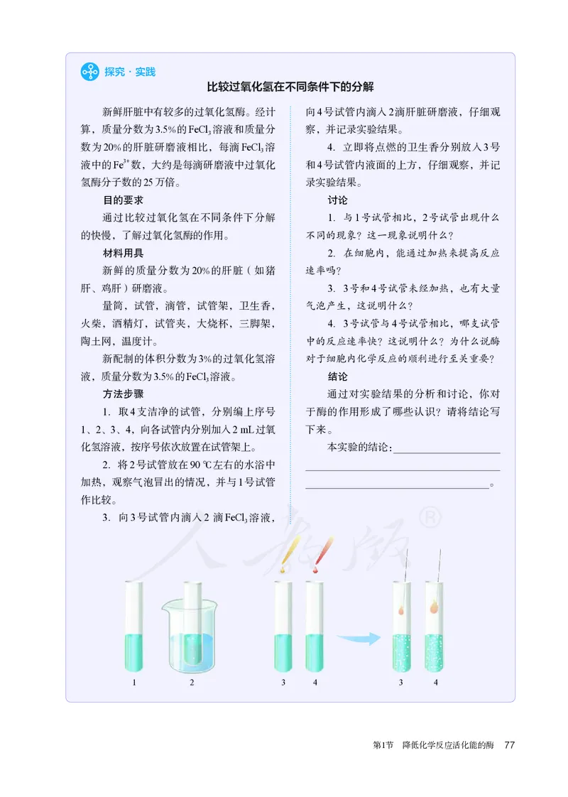 高中必修一生物_教资初高中_教资面试2025教资面试备考资料合集_教资面试资料合集_3、教资面试资料包大全_45大圣中小幼面试资料包_高中_生物_高中生物电子课本