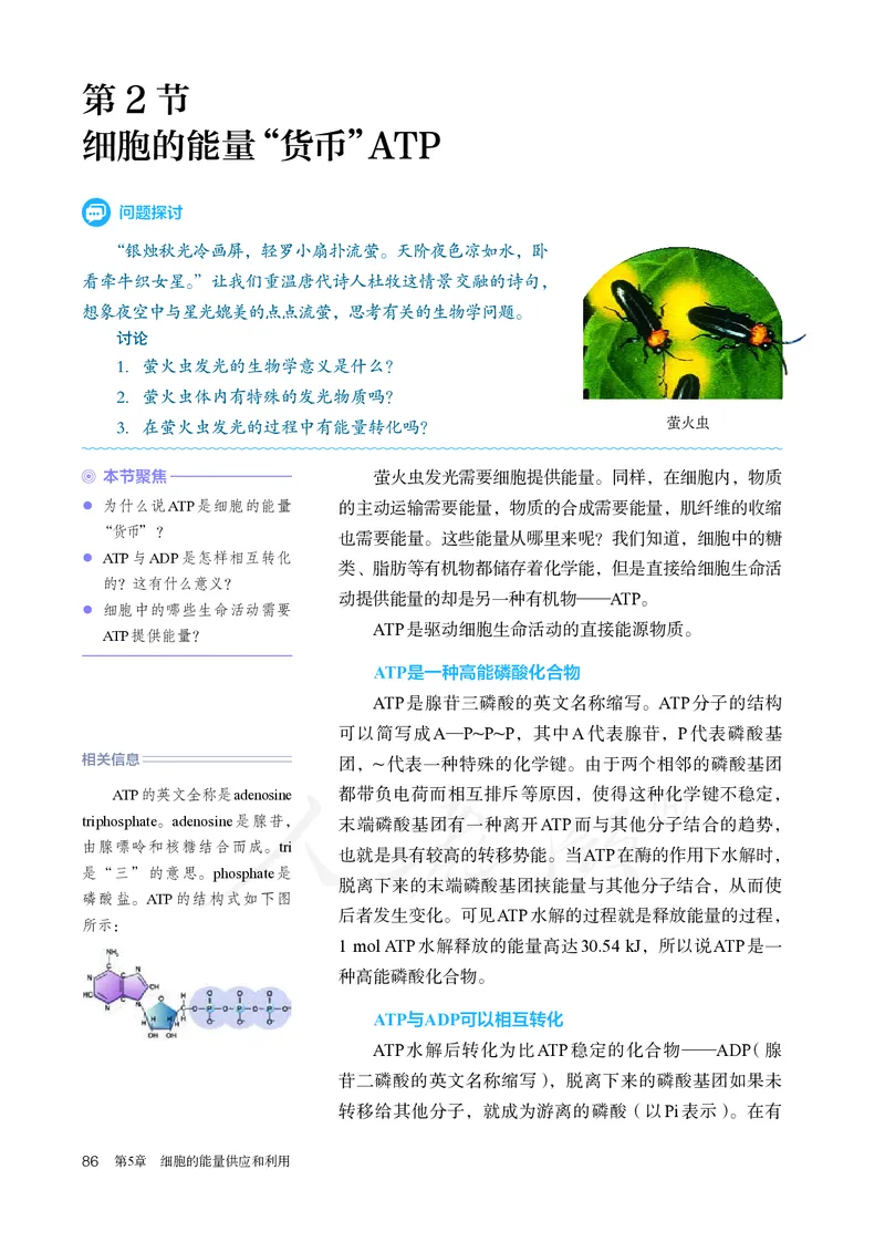 高中必修一生物_教资初高中_教资面试2025教资面试备考资料合集_教资面试资料合集_3、教资面试资料包大全_45大圣中小幼面试资料包_高中_生物_高中生物电子课本
