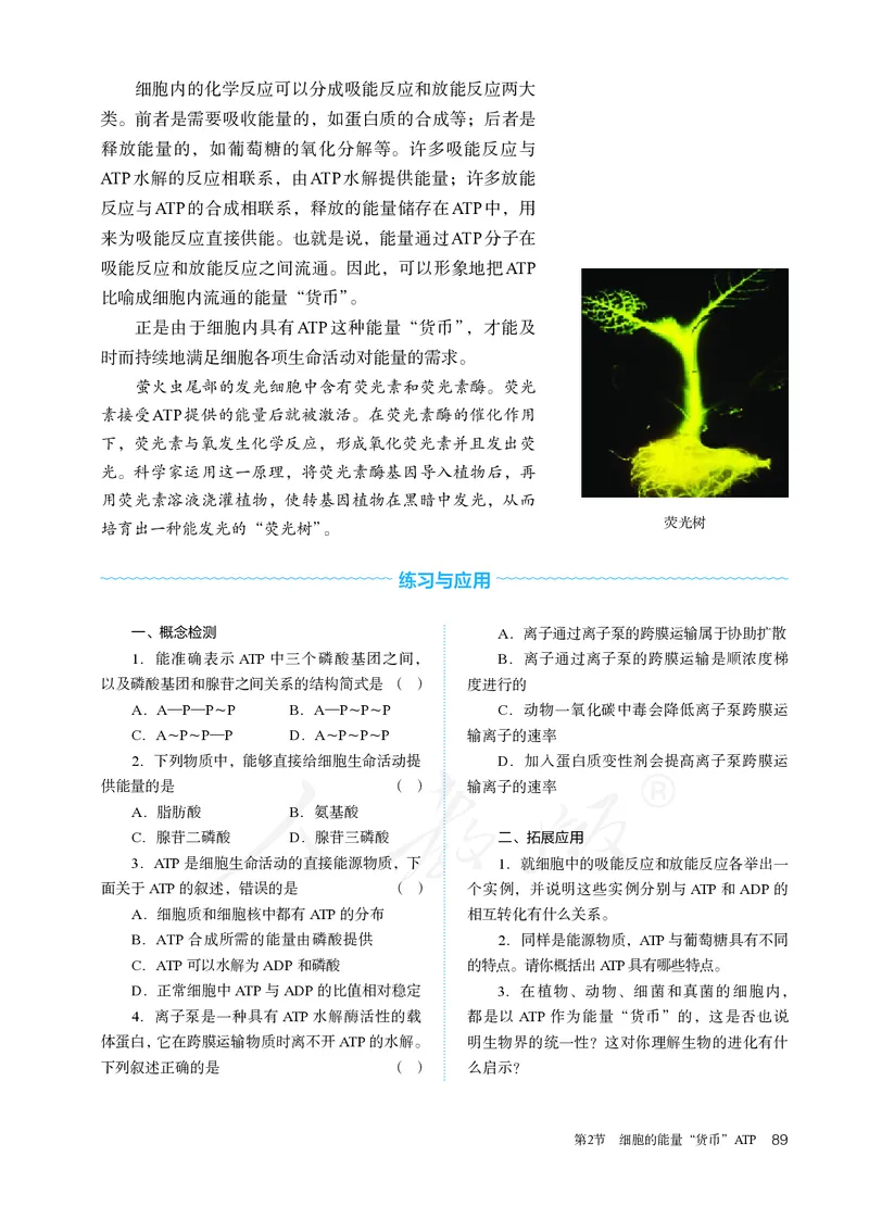 高中必修一生物_教资初高中_教资面试2025教资面试备考资料合集_教资面试资料合集_3、教资面试资料包大全_45大圣中小幼面试资料包_高中_生物_高中生物电子课本