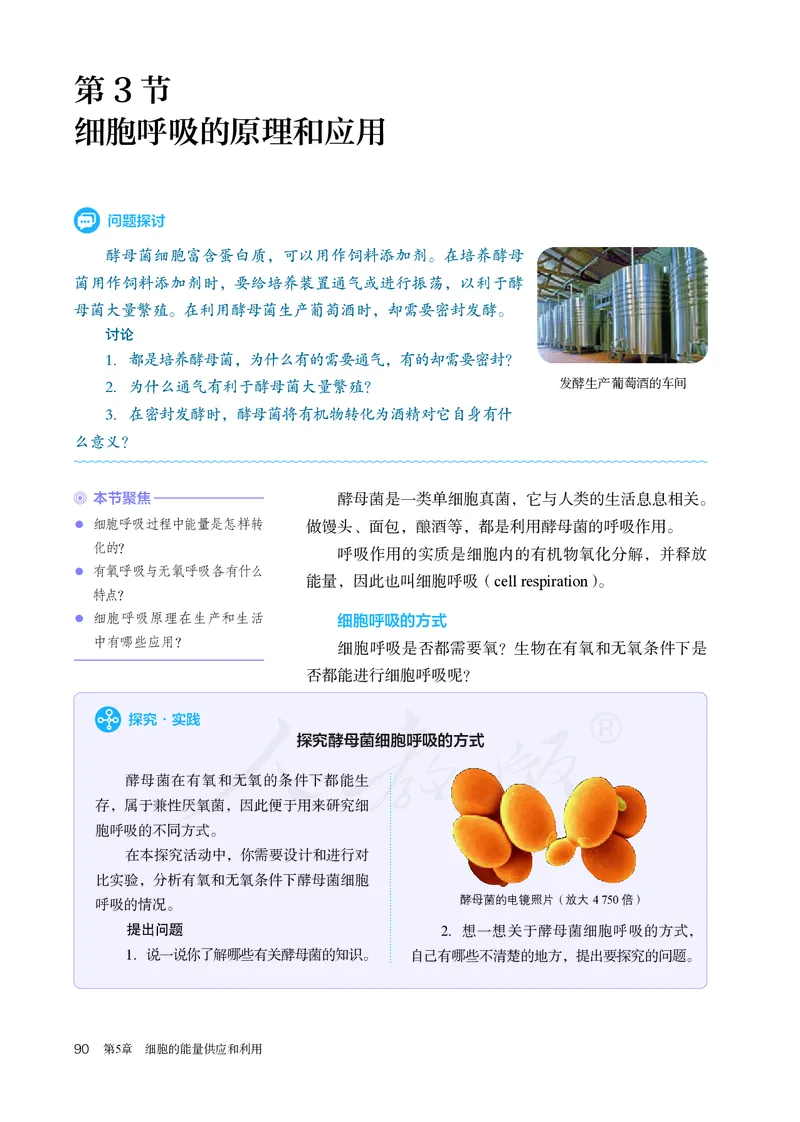 高中必修一生物_教资初高中_教资面试2025教资面试备考资料合集_教资面试资料合集_3、教资面试资料包大全_45大圣中小幼面试资料包_高中_生物_高中生物电子课本