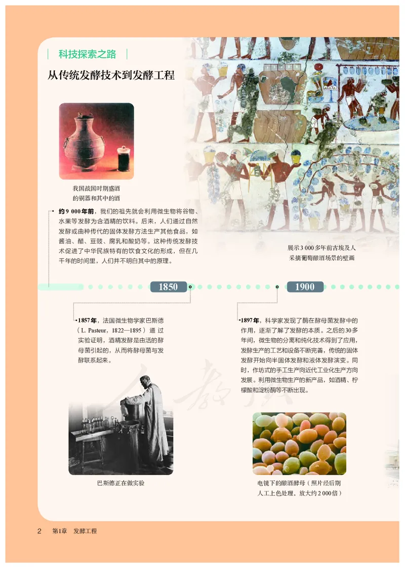 高中选修三生物_教资初高中_教资面试2025教资面试备考资料合集_教资面试资料合集_3、教资面试资料包大全_45大圣中小幼面试资料包_高中_生物_高中生物电子课本