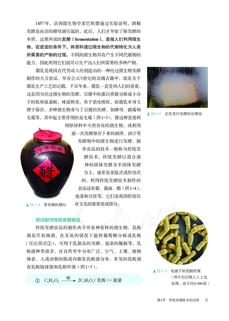 高中选修三生物_教资初高中_教资面试2025教资面试备考资料合集_教资面试资料合集_3、教资面试资料包大全_45大圣中小幼面试资料包_高中_生物_高中生物电子课本