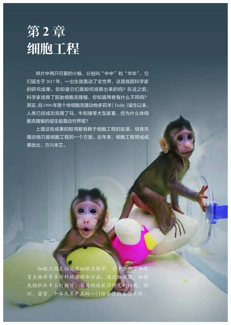 高中选修三生物_教资初高中_教资面试2025教资面试备考资料合集_教资面试资料合集_3、教资面试资料包大全_45大圣中小幼面试资料包_高中_生物_高中生物电子课本