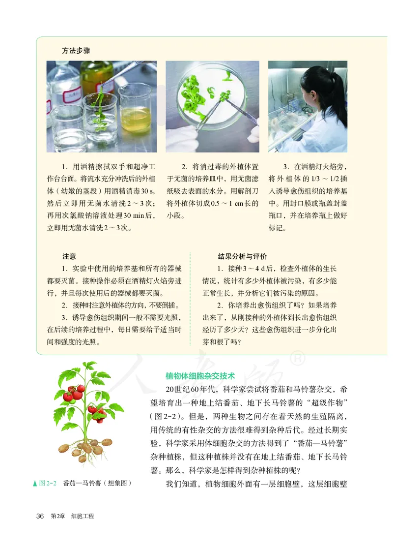 高中选修三生物_教资初高中_教资面试2025教资面试备考资料合集_教资面试资料合集_3、教资面试资料包大全_45大圣中小幼面试资料包_高中_生物_高中生物电子课本
