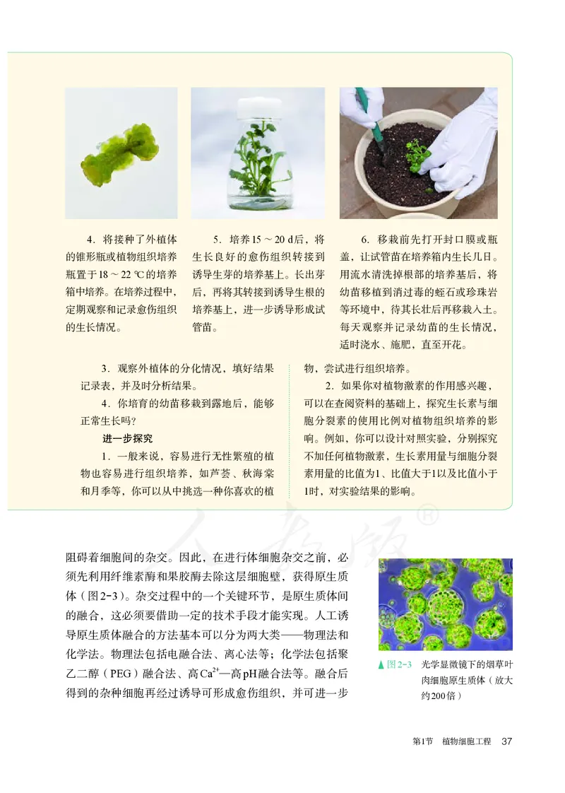 高中选修三生物_教资初高中_教资面试2025教资面试备考资料合集_教资面试资料合集_3、教资面试资料包大全_45大圣中小幼面试资料包_高中_生物_高中生物电子课本