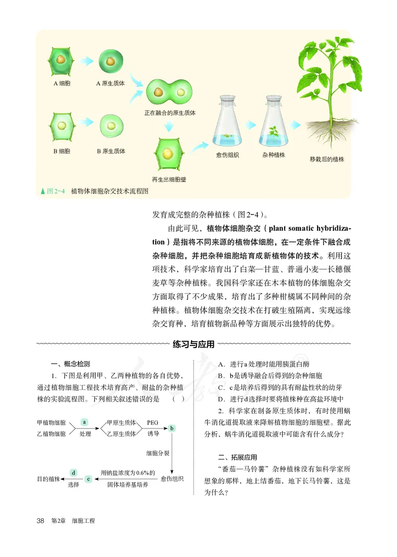 高中选修三生物_教资初高中_教资面试2025教资面试备考资料合集_教资面试资料合集_3、教资面试资料包大全_45大圣中小幼面试资料包_高中_生物_高中生物电子课本