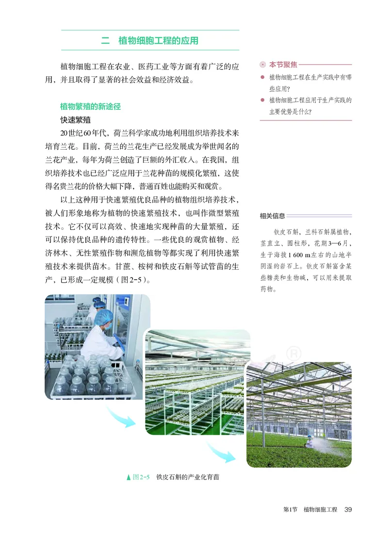 高中选修三生物_教资初高中_教资面试2025教资面试备考资料合集_教资面试资料合集_3、教资面试资料包大全_45大圣中小幼面试资料包_高中_生物_高中生物电子课本