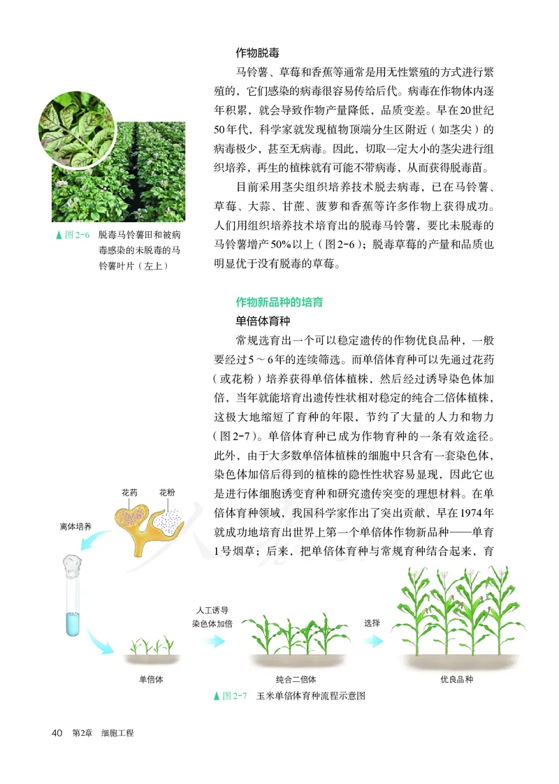 高中选修三生物_教资初高中_教资面试2025教资面试备考资料合集_教资面试资料合集_3、教资面试资料包大全_45大圣中小幼面试资料包_高中_生物_高中生物电子课本